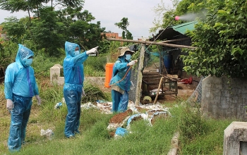 Việt Nam ghi nhận ca mắc cúm A (H9) đầu tiên, Bộ Y tế chỉ đạo khẩn