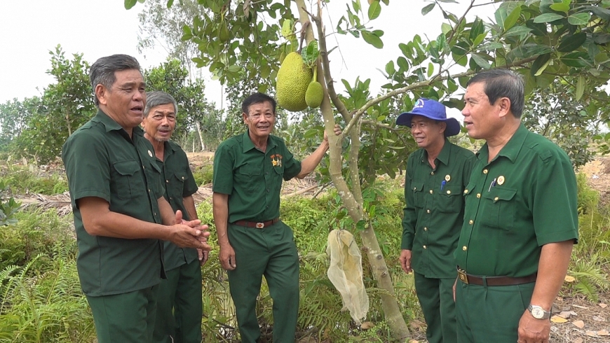CCB Nguyễn Văn Hiệp (giữa) trong vườn mit của gia đình.