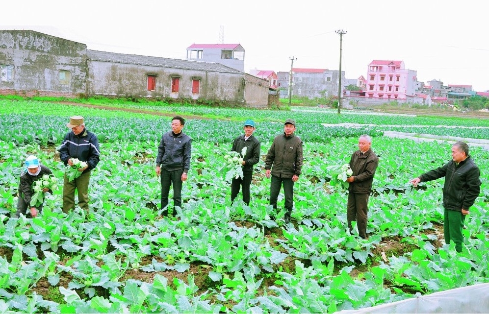 Mô hình làm kinh tế giỏi của NCT tỉnh Ninh Bình