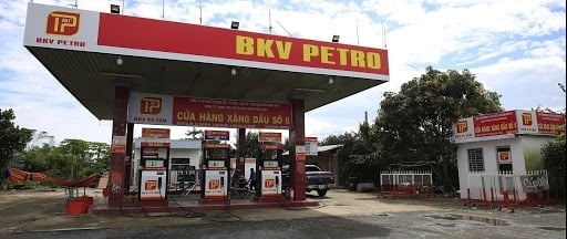 Vì sao Công ty Bách Khoa Việt bị dừng thủ tục xuất nhập khẩu?