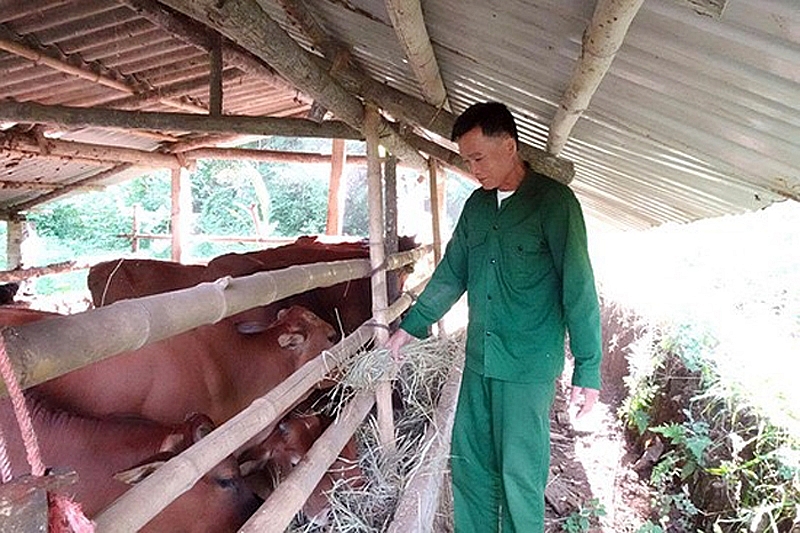 Vốn tín dụng chính sách giúp hộ nghèo thoát nghèo