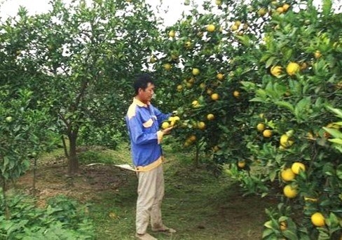 Phát huy tốt vai trò NCT trong xây dựng khu dân cư văn hóa