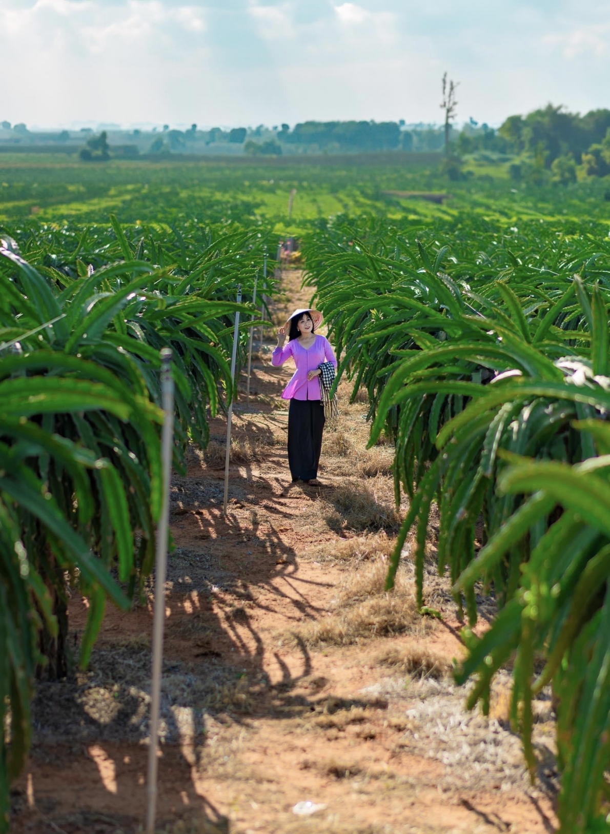 Lễ 30/4-1/5: Những điểm hẹn ở Bình Thuận