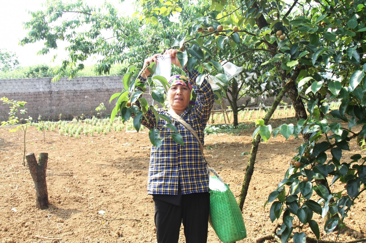 Cách làm giàu của bà Thông Vlog