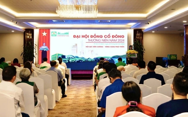 Tập đoàn Mai Linh:  Tiếp đà khởi sắc, vững bước đầu tư tương lai