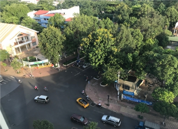 Bộ Công an yêu cầu một số địa phương cung cấp tài liệu về các dự án cây xanh