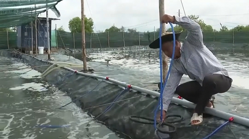 Ông Lê Đình Thiệt kiểm tra ao nuôi tôm công nghệ cao.