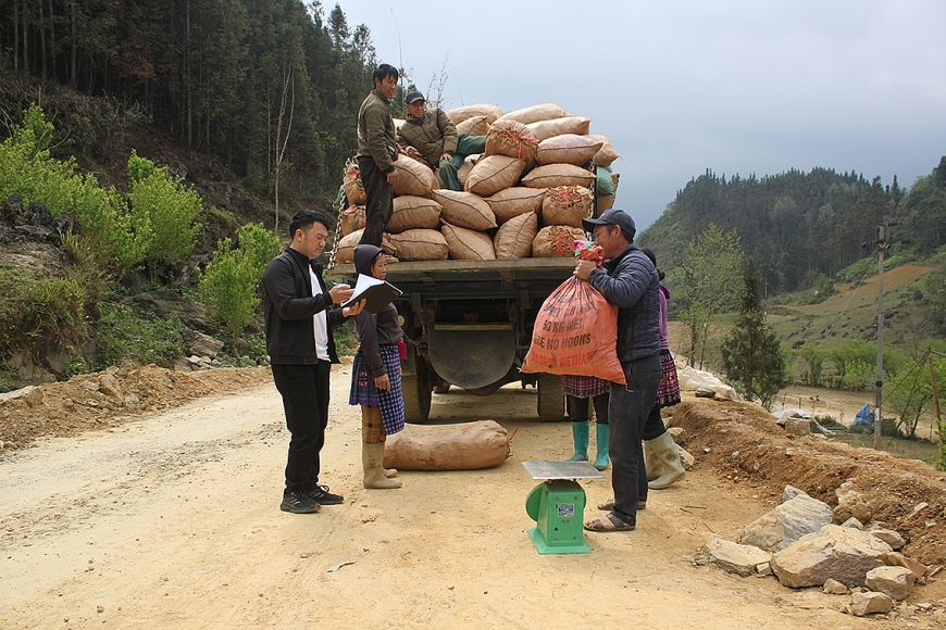 Có đường giao thông, ô tô của các doanh nghiệp đến tận hộ gia đình, nương đồi thu mua nông sản.