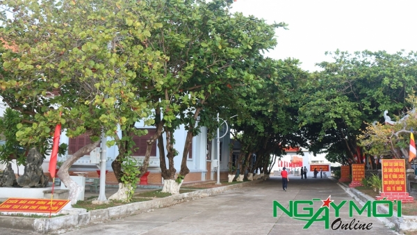 Chung tay "Xanh hóa Trường Sa"