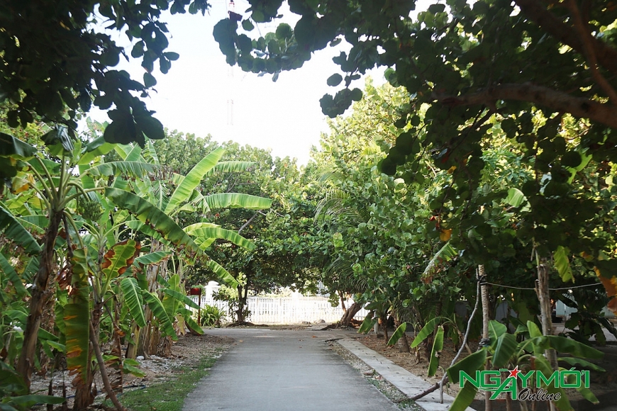 Cây xanh phủ kín con đường trên thị trấn Trường Sa