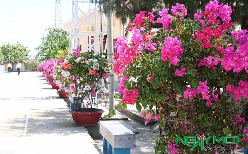 Hoa nở trên đảo Len Đao