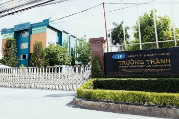 Lý do Công ty CP tập doàn kỹ nghệ Gỗ Trường Thành bị cưỡng chế thuế gần 23 tỷ đồng