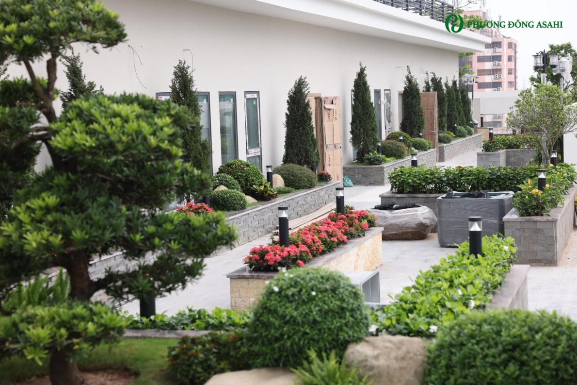 Mong muốn kiến tạo không gian sống trọn vẹn cho NCT