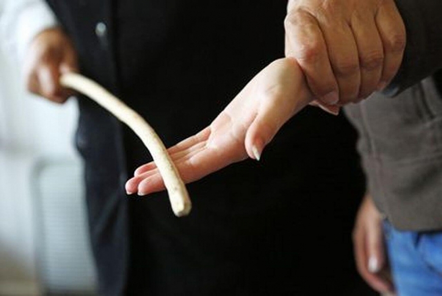 Đôi điều về “thương cho roi cho vọt,...”