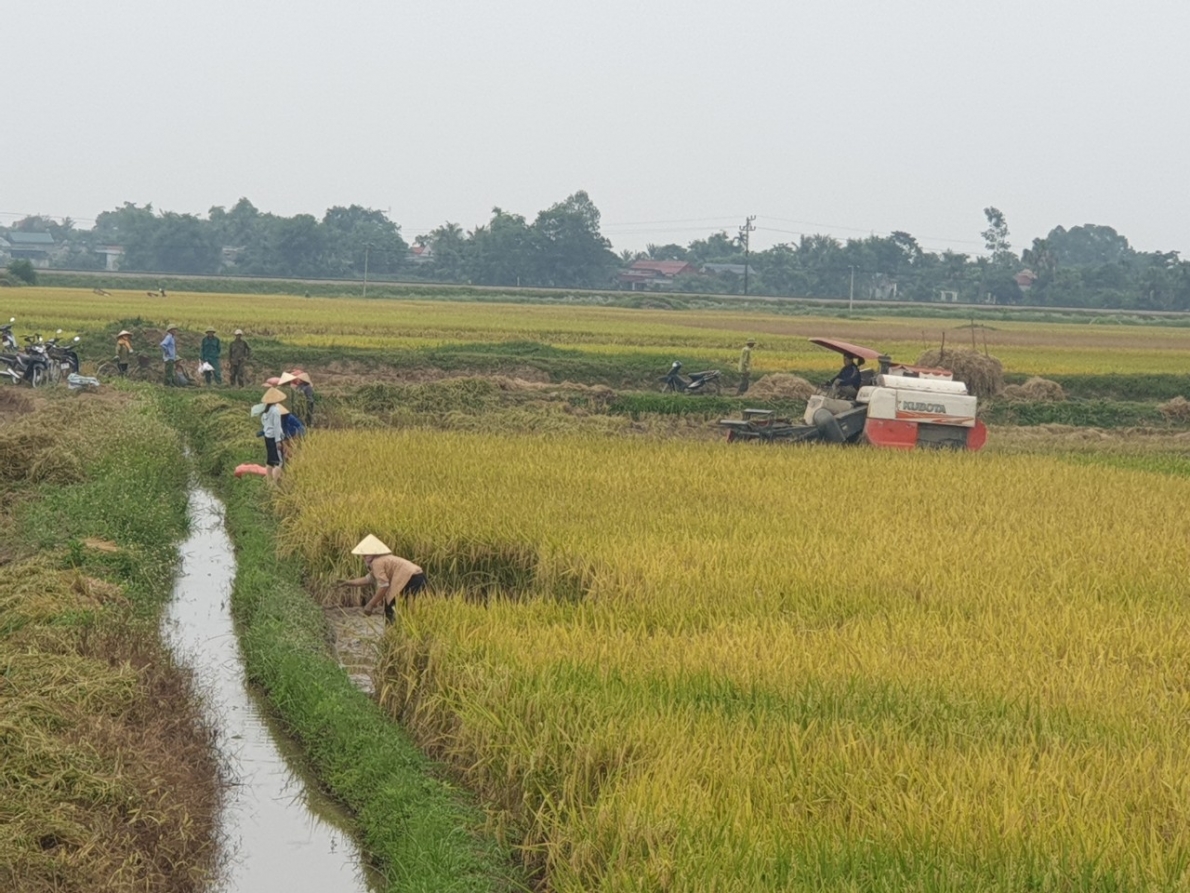 Xây dựng nông thôn mới là để nâng cao chất lượng cuộc sống ở Tế Nông