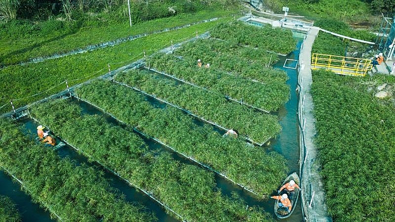 Tuân thủ các quy định bảo vệ môi trường, gần 80_ tỷ lệ nước được tái sử dụng tại Masan High-Tech Materials.