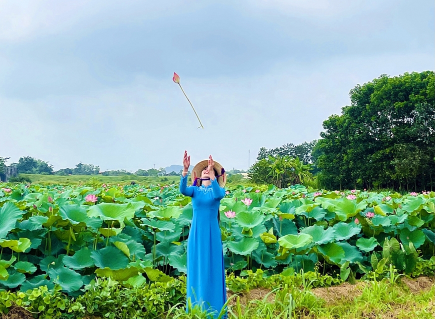 Mùa sen nở rộ bên tòa thành đá hơn 600 năm tuổi