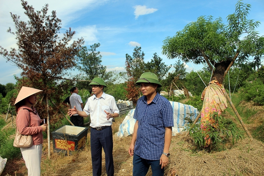 Phóng viên cơ quan báo chí thường trú tại Thanh Hóa đi thực tế tại Triệu Sơn