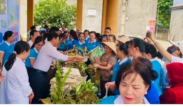 Phát động xây dựng Chi hội đạt 