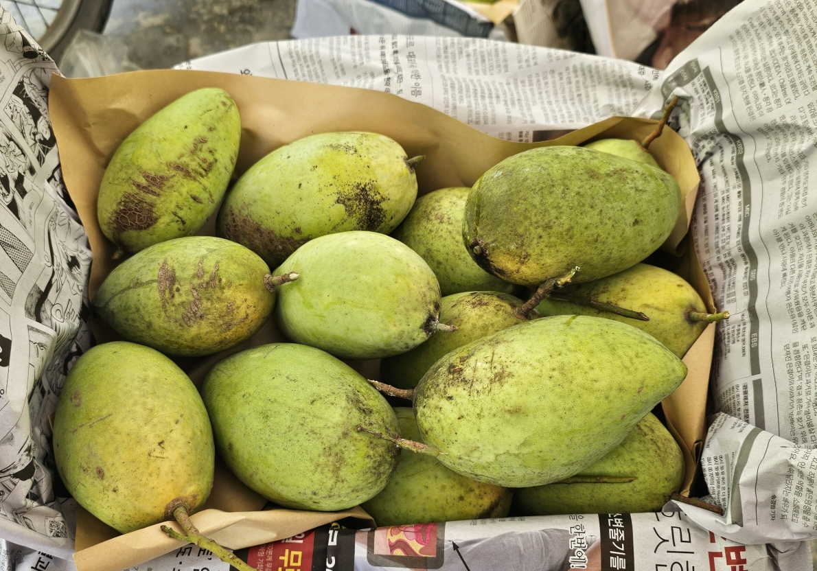 Bình Định: Lão nông điền tận tụy với công tác dân vận