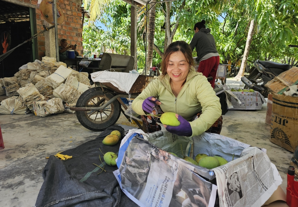 Bình Định: Lão nông điền tận tụy với công tác dân vận