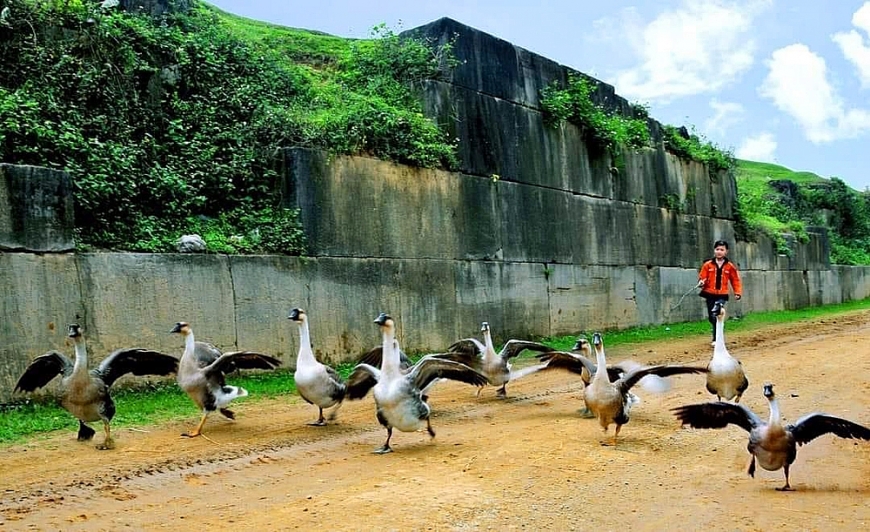 Khoảnh khắc bình yên trong tòa thành cổ