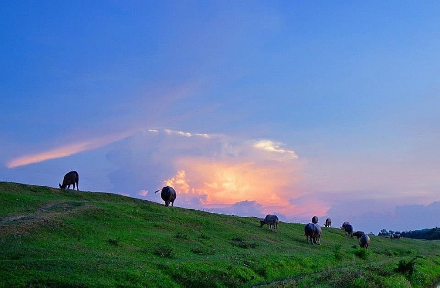Khoảnh khắc bình yên trong tòa thành cổ