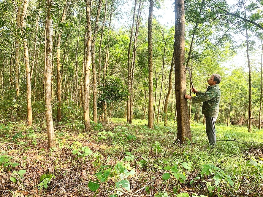 Mô hình làm kinh tế giỏi của NCT tỉnh Quảng Trị