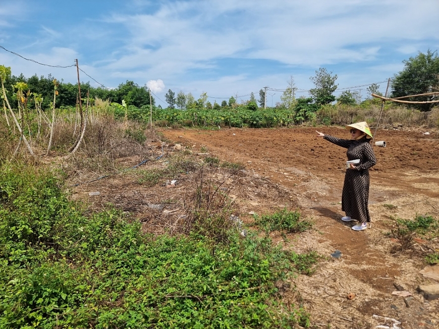 Mảnh đất tranh chấp suốt gần 20 năm qua.