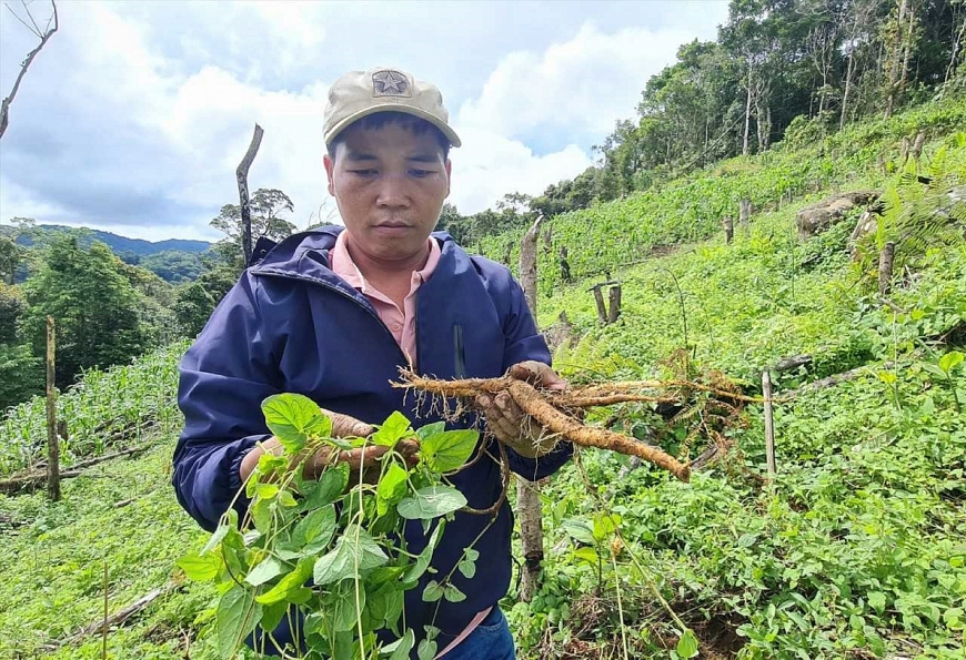 Khát vọng vùng cao xứ Quảng