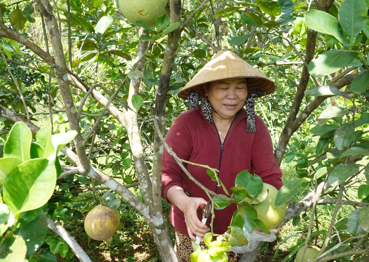Bình Định chung tay bảo vệ, chăm sóc và phát huy vai trò NCT