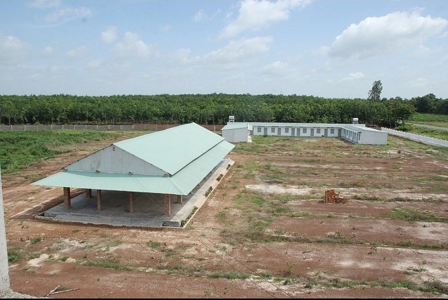 Khu đất của ông 