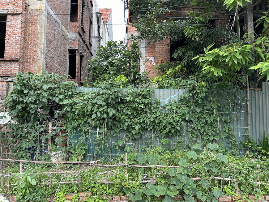 Hà Nội: Loạt biệt thự bỏ hoang ở Khu đô thị mới Cầu Bươu