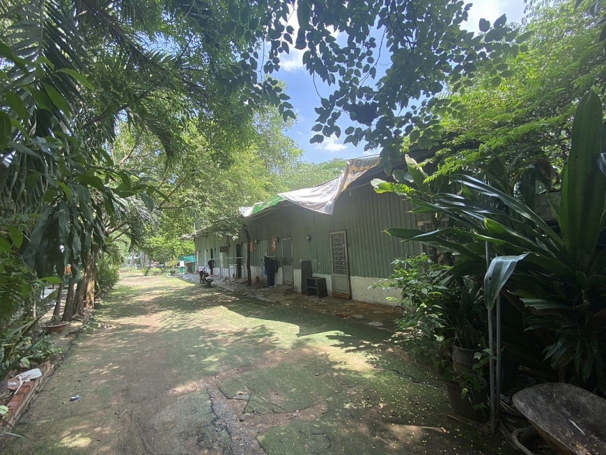 Cần bảo vệ các quyền lợi chính đáng, hợp pháp cho người cao tuổi