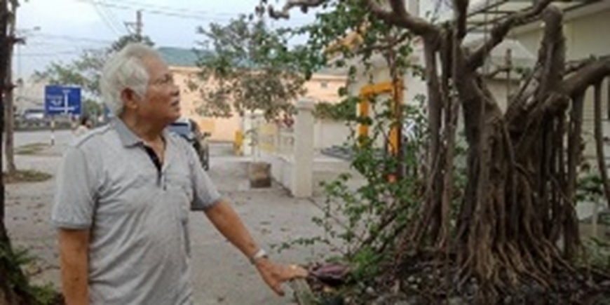 Cụ Đoàn Trung Đỉnh bên cây sanh trong vườn nhà.