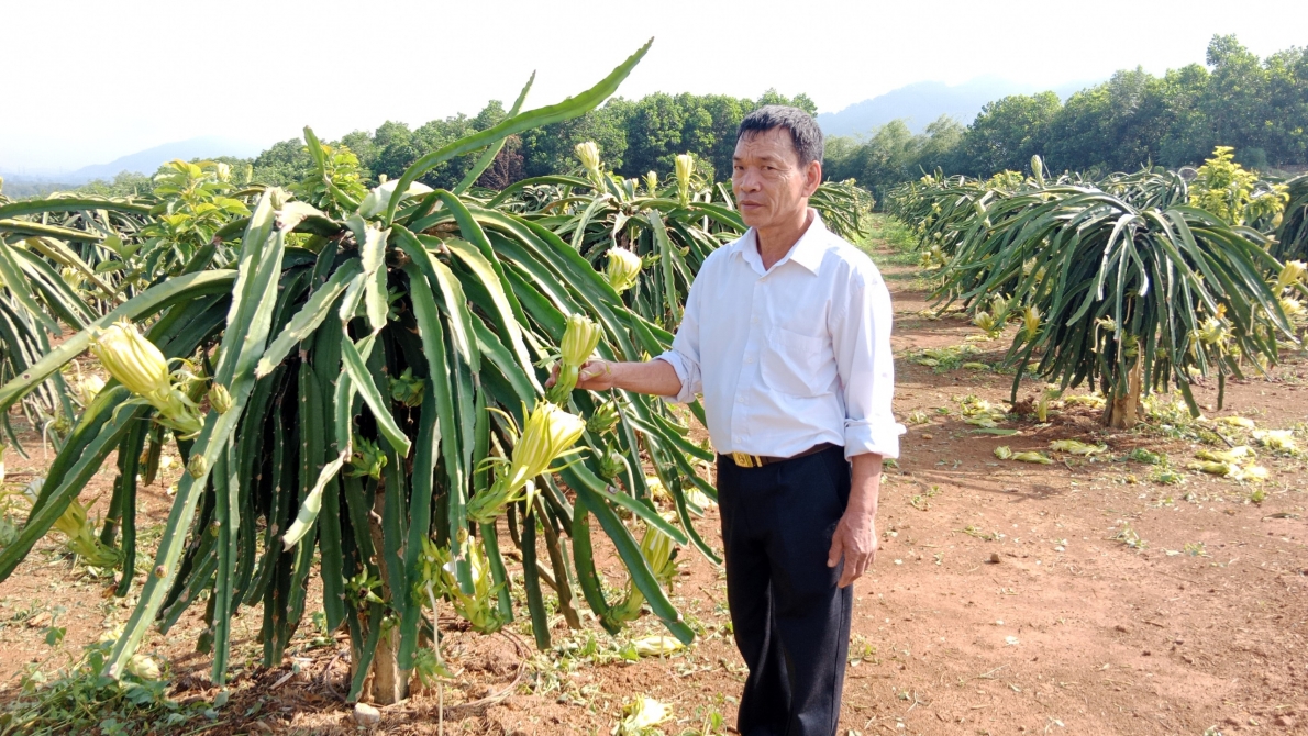 Làm giàu từ mô hình trang trại kinh tế VACR