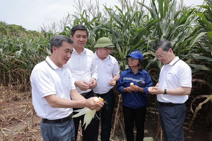 TH là điển hình về nông nghiệp công nghệ cao và kinh tế tuần hoàn