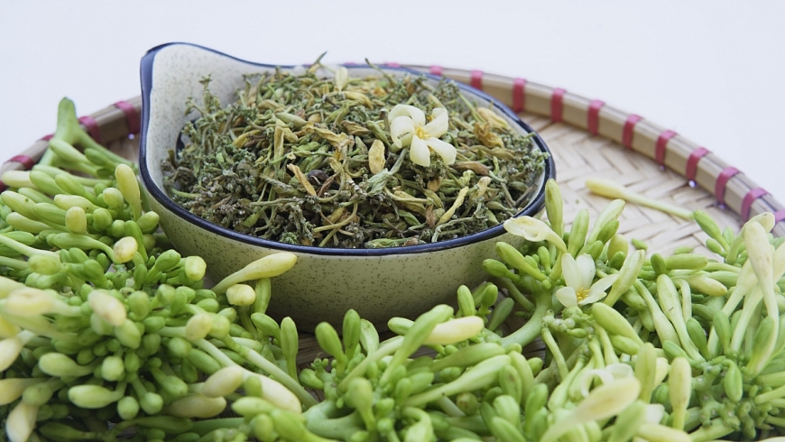 Hoa đu đủ đực