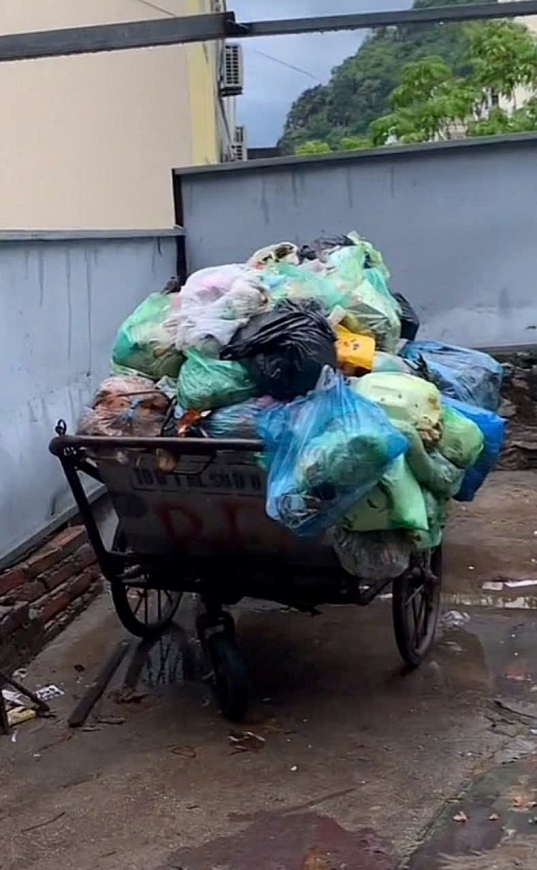 Rác được tập kết sát nhà dân gây ô nhiễm môi trường khu dân cư tại tổ 36-37, khu 2 phường Bạch Đằng