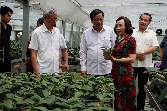 Phụ nữ cao tuổi hết lòng vì cộng đồng