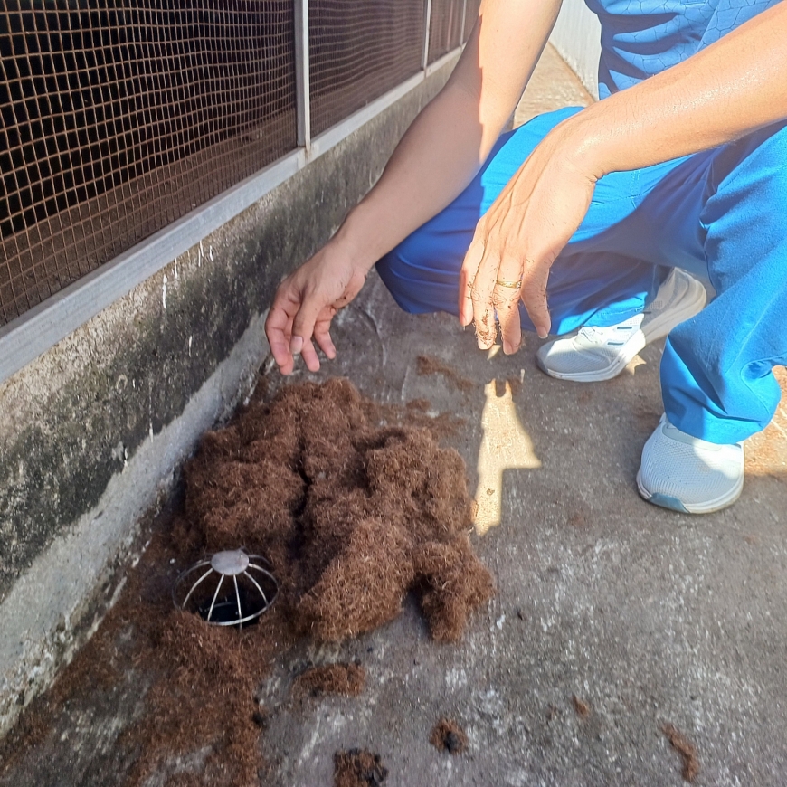 Phát tán bụi gây ô nhiễm môi trường trong Khu kinh tế Nghi Sơn, tỉnh Thanh Hóa: Lãnh đạo tỉnh chỉ đạo quyết liệt và kịp thời