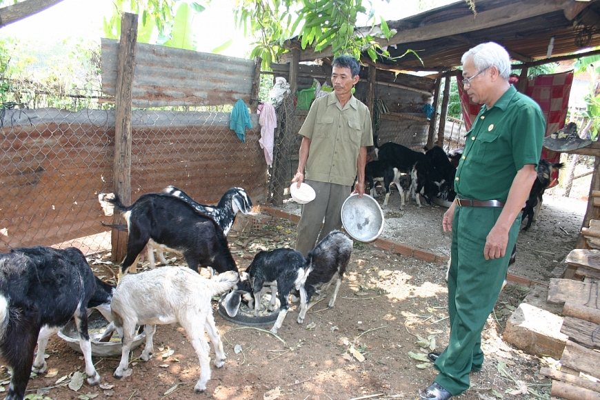 Ông Hồ Viết Trung (bên phải) tặng dê giống cho gia đình cựu chiến binh Tống Viết Lỡ nay phát triển thành đàn