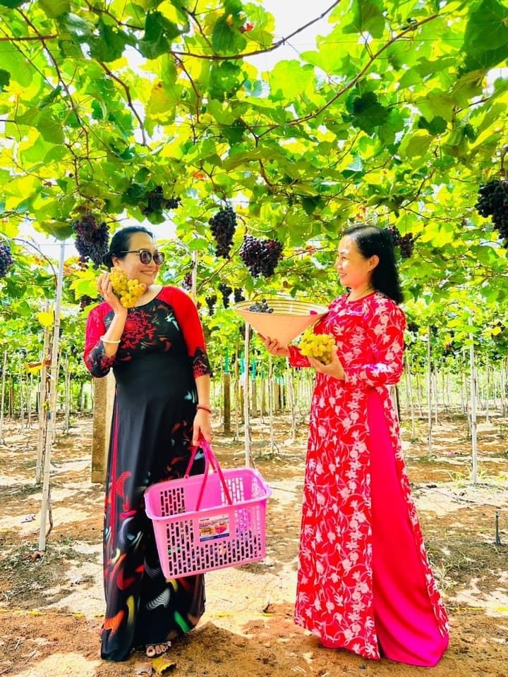 Bình Thuận: Bức tranh đẹp ngày thêm nhiều màu sắc