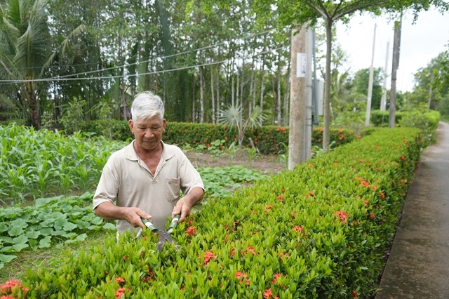 NCT tỉnh Cà Mau tích cực góp phần xây dựng nông thôn mới.