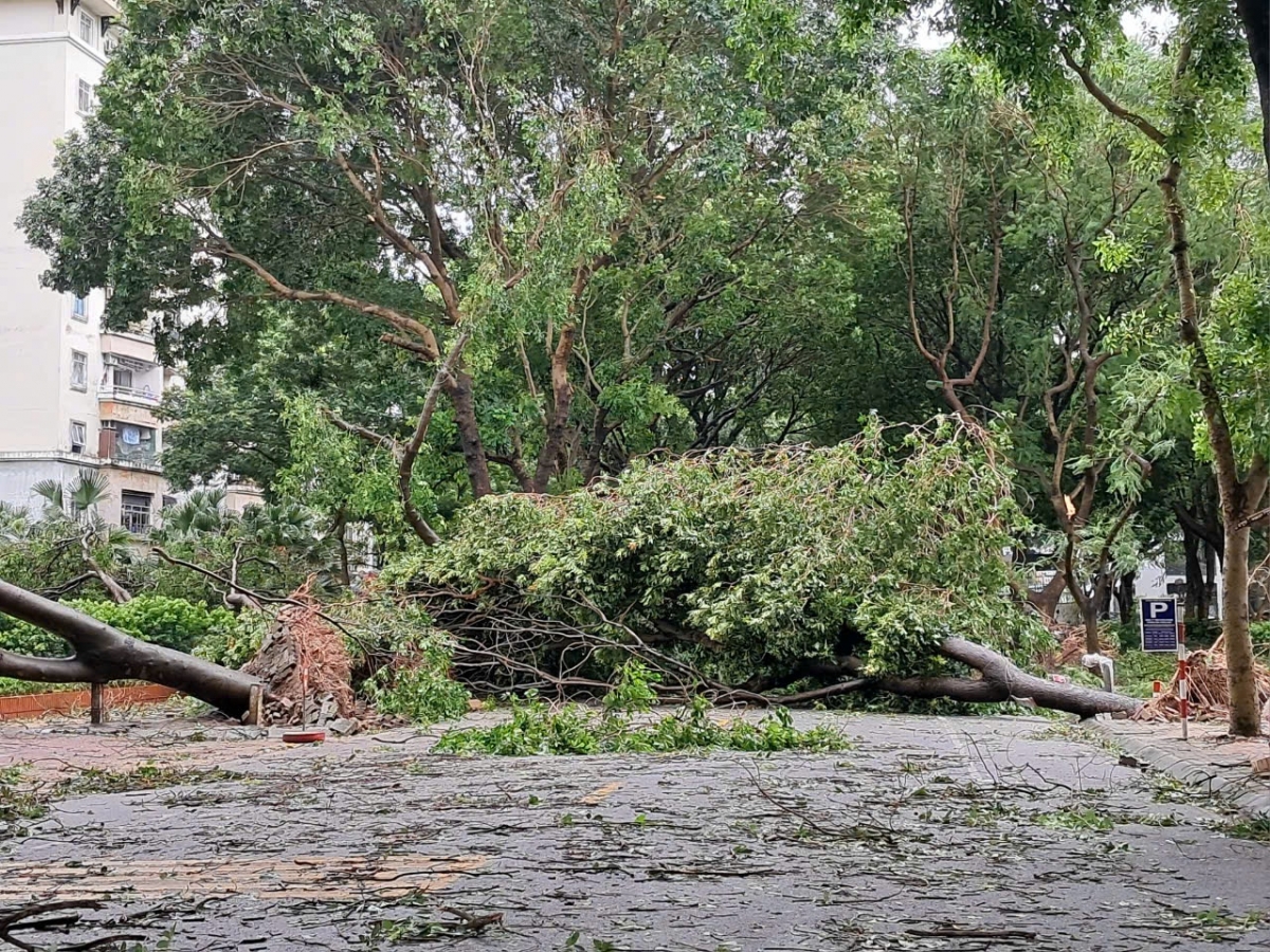 Hiện trường sau bão