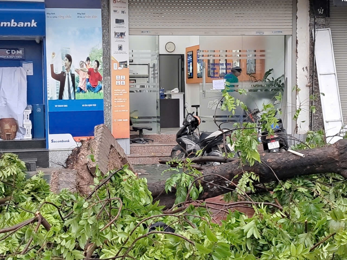 Hiện trường sau bão