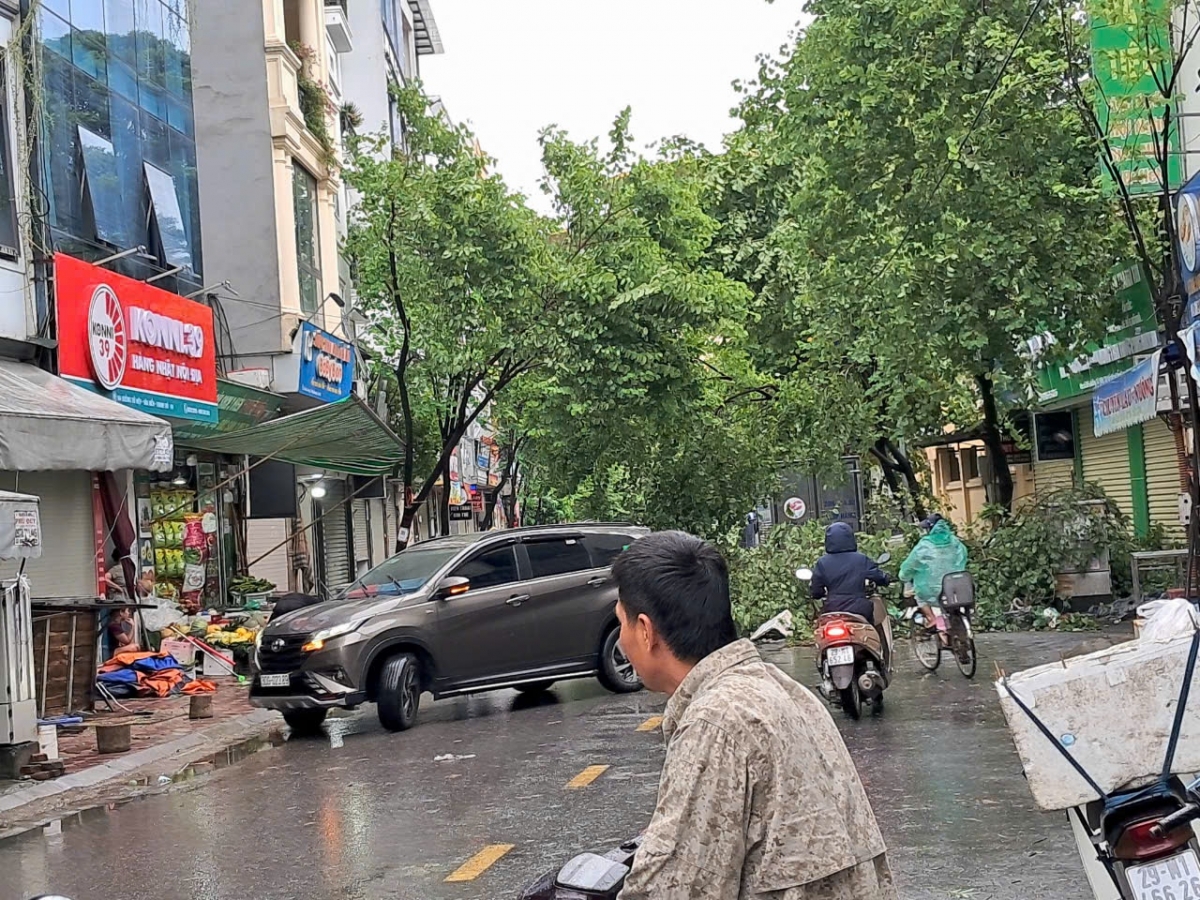 Hiện trường sau bão