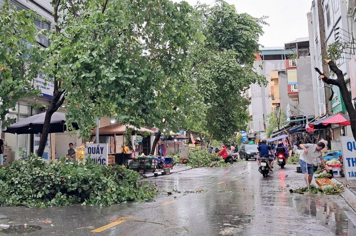 Hiện trường sau bão