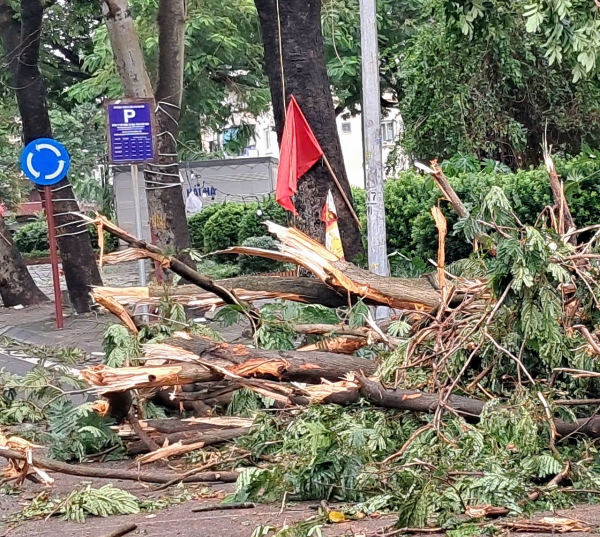 Hiện trường sau bão