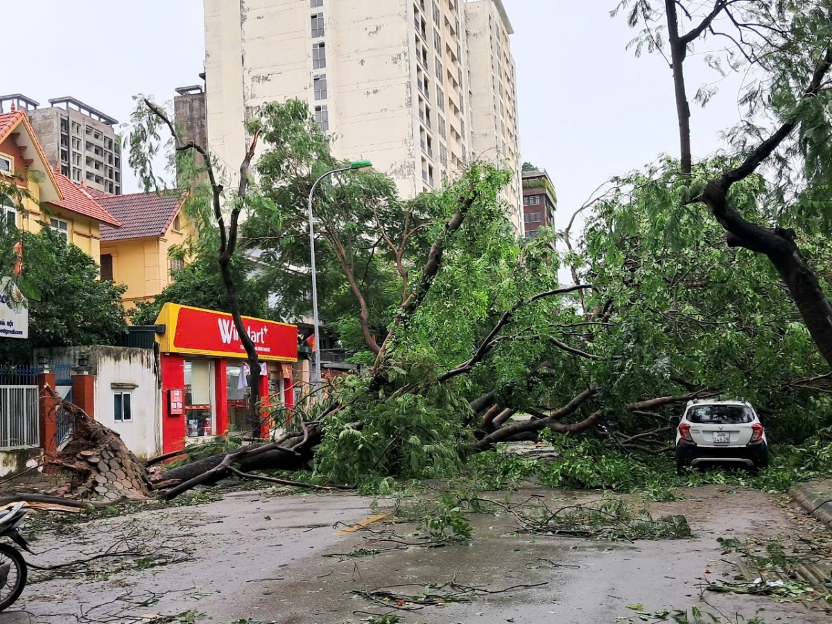 Hiện trường sau bão